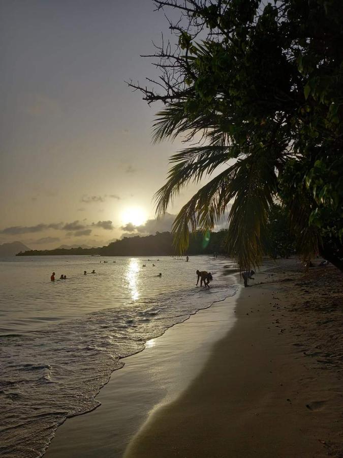 Studio Des Flots - Tartane Martinique Trinité  Extérieur photo